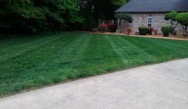 Richie's lawn care - Denton, NC