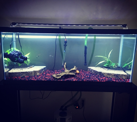 Ray Aqua Scaping - Allentown, PA