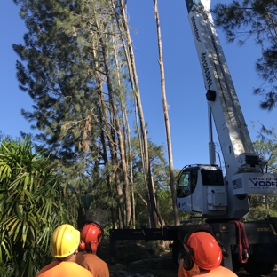 Troyer Tree Service - Sarasota, FL