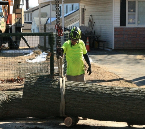 Evergreen Tree Service - Windsor Locks, CT