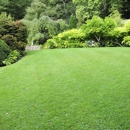 Stratton's Lawn Care - Lawn Maintenance