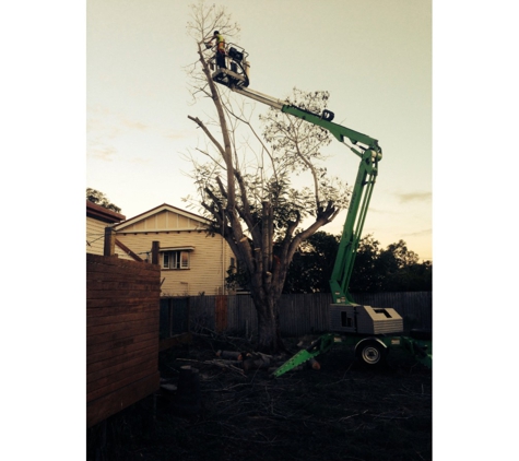 Bundy & Bargara Tree Service - Bundaberg North, QLD