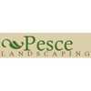 Pesce Landscaping gallery