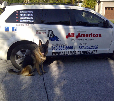 All American Dog Training Academy