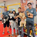 Southpark Doggie Playland DT LA - Pet Services