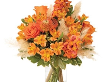 Stephanie S Flowers Tuscaloosa Al 35401