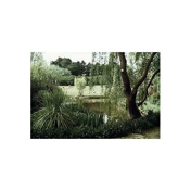 Gallery Image Number 6