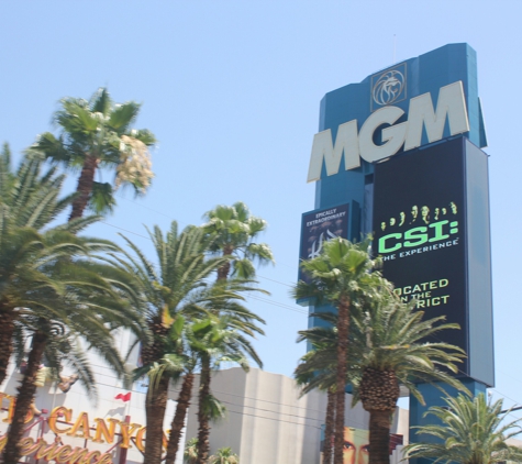 MGM Grand Hotel - Las Vegas, NV. This hotel is amazing!