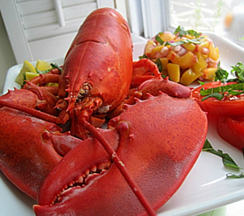 Maine Lobster Now - South Portland, ME