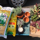 Green Thumb Nursery