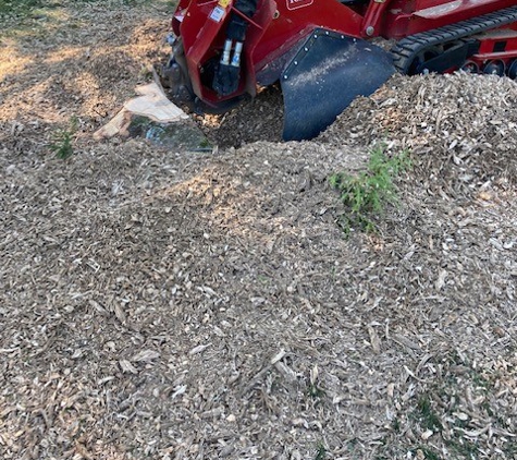 Absolute Stump Grinding - Crestwood, KY. Stump Removal LaGrange KY page 2 of 3.