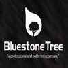Bluestone Tree gallery