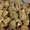 Far West Fungi Inc - Mushrooms