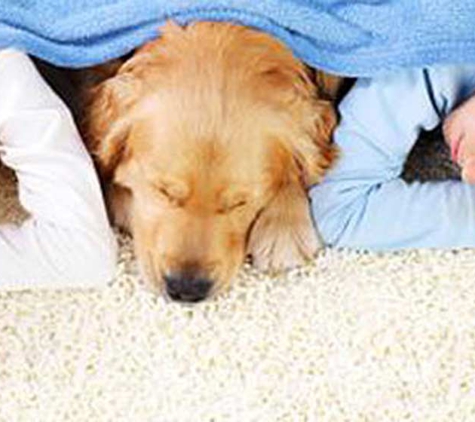 Springfresh Carpet Cleaning - Curlewis, VIC