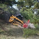 BlueRidge Brush Clearing - Gardeners