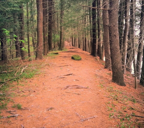 Bradley Palmer State Park - Topsfield, MA