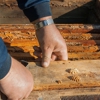 Bug snap pest control gallery