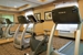 Holiday Inn Express & Suites Houston Energy Corridor-W Oaks - Hotels