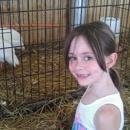 Armada Agricultural Fair - Fairgrounds