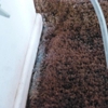 Justcleancarpets.Com gallery
