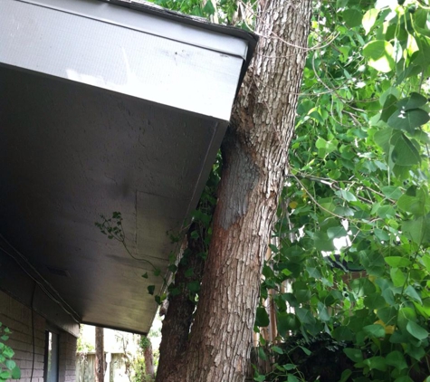 Don's Tree Service - Houston, TX