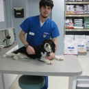 VCA Peachtree Animal Hospital - Veterinary Clinics & Hospitals