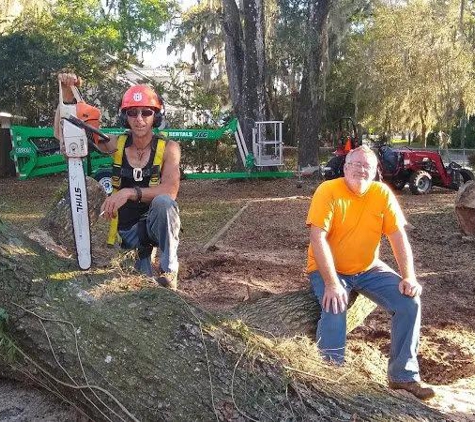 Big Orange Tree Services - Hawthorne, FL