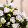 Pleasanton Floral Photography & Tuxedo Rental gallery