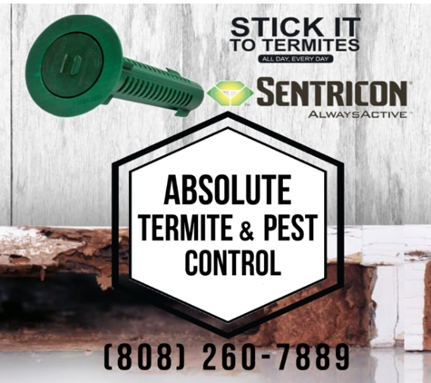 Absolute Termite & Pest Control Hawaii - Kapolei, HI. Absolute Termite And Pest Control LOGO