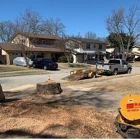 Texas Treehouse Tree Service & Stump Grinding