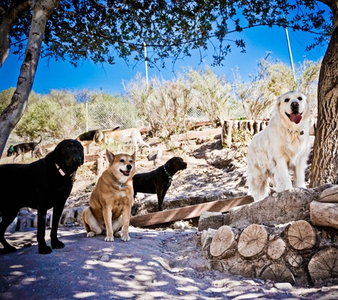 Topanga Pet Resort - Topanga, CA