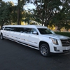 Absolute Comfort Limousine gallery