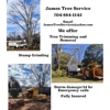 James Tree Service gallery