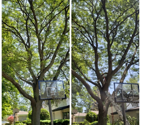 Gomez Tree Services - Skokie, IL