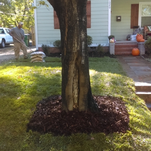 Carolina Tree And Lawn Maintnenance - Matthews, NC