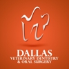 Dallas Veterinary Dentistry & Oral Surgery gallery