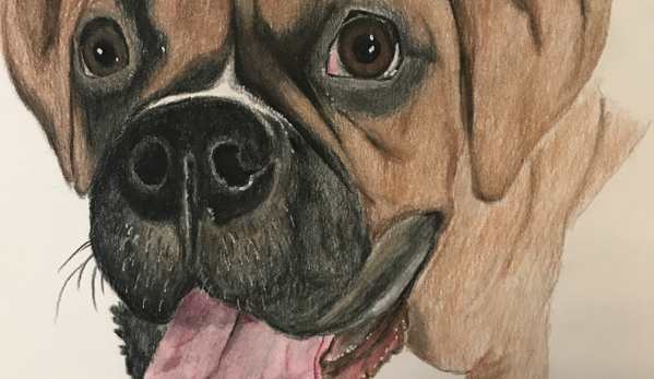 Pet Portraits by Rebecca - Hudson, FL