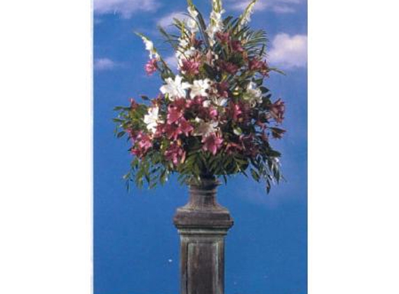 Plants For Hire Pty Ltd - Dingley Village, VIC