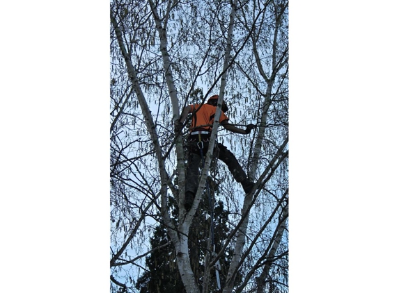 Irwin Clements Tree Service - Hobart, TAS