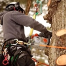 Rick's Tree Expert Co - Tree Service