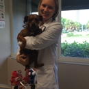 Court Street Animal Hospital - Veterinarians