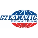 Dubuque Area Steamatic - Carpet & Rug Cleaners
