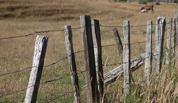 Waterview Surveying Services - Mona Vale, NSW