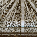 Mariposa