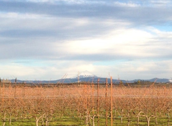 Agate Ridge Vineyard - Eagle Point, OR