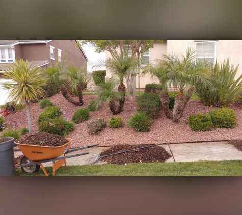 Luis Tree Service & Lawn Maintenance - Corona, CA