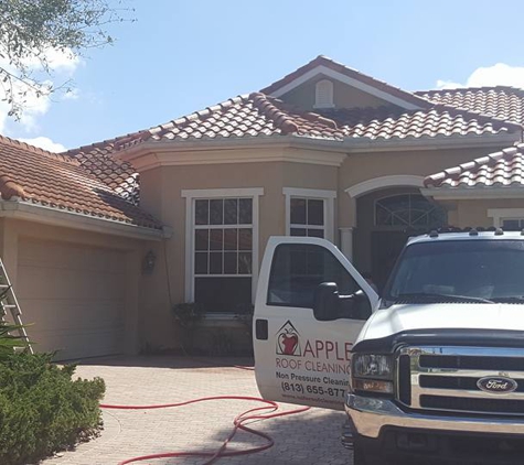 Apple Roof Cleaning Tampa Florida - Brandon, FL. Tile Roof Being Cleaned Tampa Florida 33601