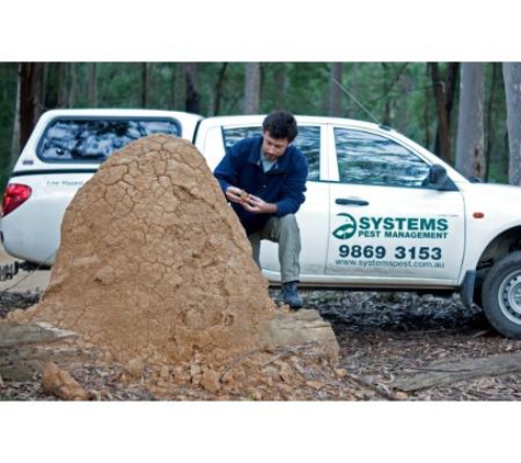 Systems Pest Management Pty Ltd - Thornleigh, NSW