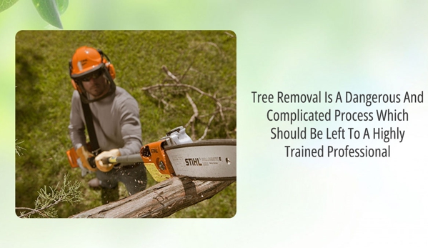 Tree Safe Solutions - Keilor East, VIC. Tree Removal Is A Dangerous And Complicated Process Which Should Be Left To A Highly Trained Professional