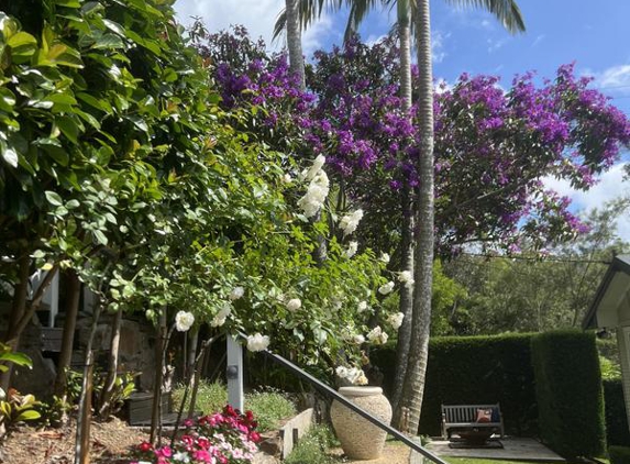 Arbor Pride Tree Services Pty Ltd - Westleigh, NSW